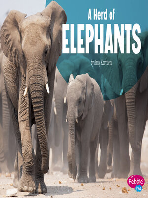 cover image of A Herd of Elephants